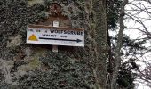Excursión Senderismo Buhl - Wolfsgrube (4/3/2021) - Photo 5