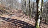 Trail Walking Saint-Hubert - Saint-Hubert - Promenade 