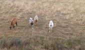 Tour Wandern Volonne - VOLONNE . SUR LA ROUTE DU TEMPS O  L - Photo 1