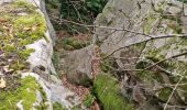 Trail Walking Chamarande - Lardy - Le Lièvre d'Or - Photo 11