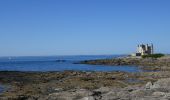 Excursión Senderismo Quiberon - GR34 Quiberon-Penthièvre par la côte sauvage - Photo 9