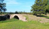 Tour Wandern Curçay-sur-Dive - Curçay sur dive - Photo 11