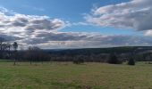 Trail Walking Ferrières - entre Jehonhé et La Fagne  - Photo 11