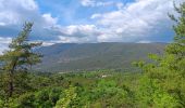 Tocht Stappen Rustrel - visite et tour du Colorado Provençal  - Photo 11