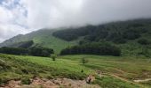 Excursión Senderismo Sare - RA2021 Pays basque La Rhune - Photo 4