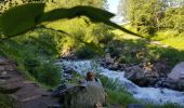 Trail Walking Chamonix-Mont-Blanc - Cascade du Dard Glacier du Bosson - Photo 18