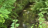 Tour Wandern La Chapelle-Enchérie - La Chapelle-Enchérie - Bois de Bricsard - Photo 20