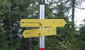 Tocht Te voet Sankt Veit im Pongau - St. Veit-Hochglocker über Kinderalm - Photo 1