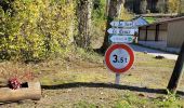 Excursión Bici eléctrica Vieux-Moulin - Vieux-Moulin- Saales- Ban de Sapt - Vieux Moulin - Photo 12