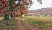 Trail On foot Les Cabannes - Boucle Les Cabannes/Bournazel/Cordes - Photo 1