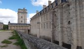 Randonnée Marche Maisons-Alfort - Mausobs Alfort bois de Vincennes  - Photo 15