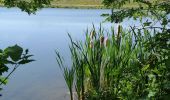 Tour Wandern Oupeye - La Gravière Brock et au Hemlot  - Photo 7