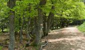 Tocht Stappen Engins - Boucle au départ d’engins - Photo 5