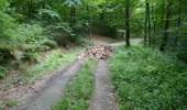 Tour Wandern Lacombe - En forêt de la Loubatière - Photo 8
