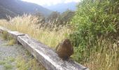 Tocht Te voet Fiordland Community - Eldrig Peak Route - Photo 2