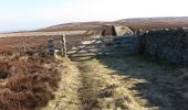 Tocht Te voet Unknown - Saint Cuthbert's Way (Kirk Yetholm to Lindisfarne) - Photo 3