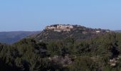 Tocht Stappen Ollioules - Le Gros Cerveau-24-02-20 - Photo 14