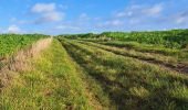 Tocht Stappen Anthisnes - Marche ADEPS Villers aux Tours - Photo 9