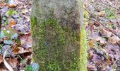 Tour Zu Fuß Unbekannt - DE-SAV Rotes Hufeisen, Stroheiche - Weilimdorf? - Photo 2