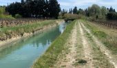 Tour Wandern Aubignan - Le canal  - Photo 1