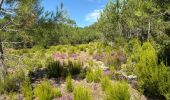 Percorso Bici ibrida Vendays-Montalivet - Montalivet - Hourtin plage - Hourtin lac - Vendays - Photo 13