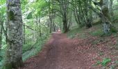 Randonnée Marche Orcines - Ballade au Puy de Cōme - Photo 1