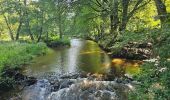 Trail Walking Houffalize - Balade à Houffalize - Photo 10