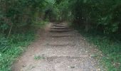 Trail Walking Riemst - petite incursion en Hollande  - Photo 1
