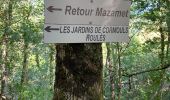 Trail Walking Mazamet - Mazamet passerelle  - Photo 4