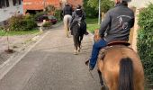 Tour Reiten Buchsweiler - rando acpl chez sandra 12 10 24 - Photo 2