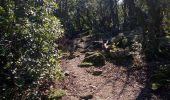 Trail Walking Anduze - A dise - Photo 2