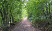 Tour Wandern Lüttich - St Lambert et la Liège Verte - Photo 19