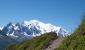 Tocht Stappen Chamonix-Mont-Blanc - Aiguillette des Posettes - Photo 12