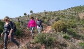 Trail Walking Fréjus - Malpey par la piste des Malavettes depuis Colle Douce - Photo 5