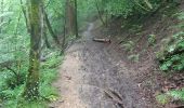 Trail Walking Esneux - tilf . ferme de femelette.  roche aux faucons.  avister. tilf  - Photo 3