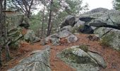 Trail Walking Fontainebleau - Fontainebleau - Sentier des carriers - Photo 19