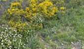 Tocht Stappen Port-Vendres - Port-Vendres - Photo 2