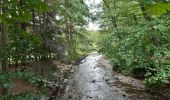 Tour Wandern Stablo - rando de la truite : stavelot . challes . warche . chevaufosse . challes . stavelot - Photo 17