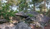 Tour Wandern Noisy-sur-École - 3 Pignons  - Photo 1