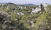 Excursión Senderismo Les Baux-de-Provence - autour des baux - Photo 15