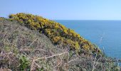 Tocht Te voet Onbekend - Bray Greystones Cliff Walk - Photo 2