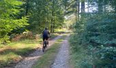 Trail Hybrid bike Vresse-sur-Semois - Pussemange Bouillon - Photo 2