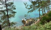 Trail Walking Crozon - Étape 5/6 du tour de Crozon (boucle à partir de St-Hernot) - Photo 3