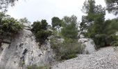 Tocht Stappen Ceyreste - Ceyreste, cabane du marquis, vallon des conquêtes. - Photo 9