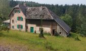 Tour Wandern Walscheid - Elsassblick Col de la Sayotte - Photo 4