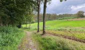 Randonnée Marche Nivelles - Monstrueux 21.4 km - Photo 1