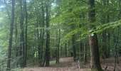 Tocht Stappen Rendeux - Cheoux  - Photo 13