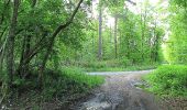 Trail Walking Choisy-au-Bac - en forêt de Laigue_14_05_2021_les Chemins du Plessis-Brion et de la Voie de l'Eau - Photo 13