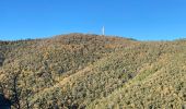 Excursión Senderismo Pignans - Sainte Marie des Anges 15,8 km - Photo 2