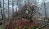 Randonnée Marche Verzy - Entre Faux et Vignes - Photo 10